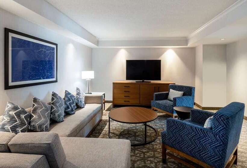 سوئیت با تخت بزرگ, Embassy Suites By Hilton Indianapolis Downtown
