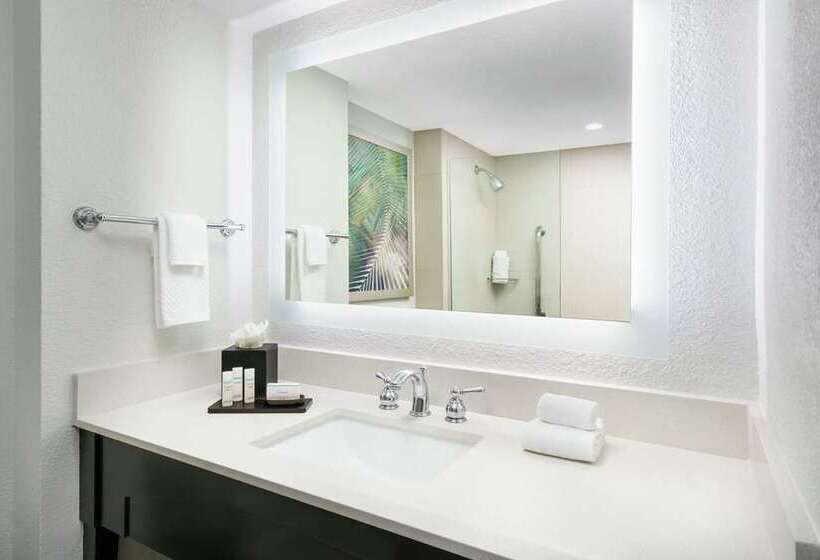 سوئیت با تخت بزرگ, Embassy Suites By Hilton Los Angeles Downey