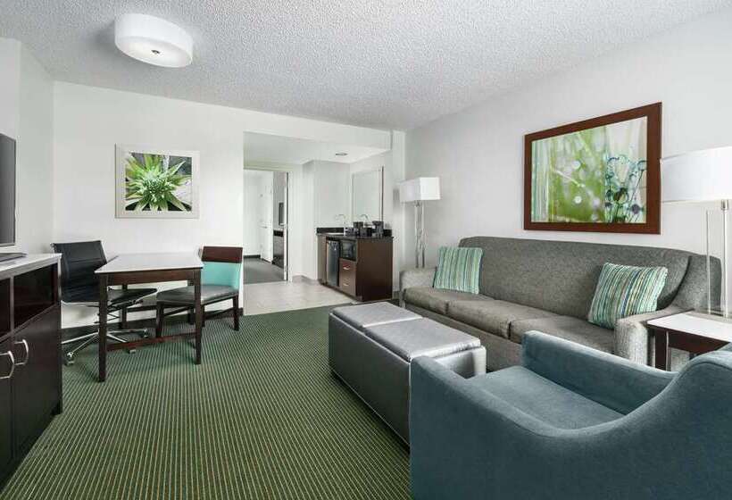سوئیت با تخت بزرگ, Embassy Suites By Hilton Los Angeles Downey