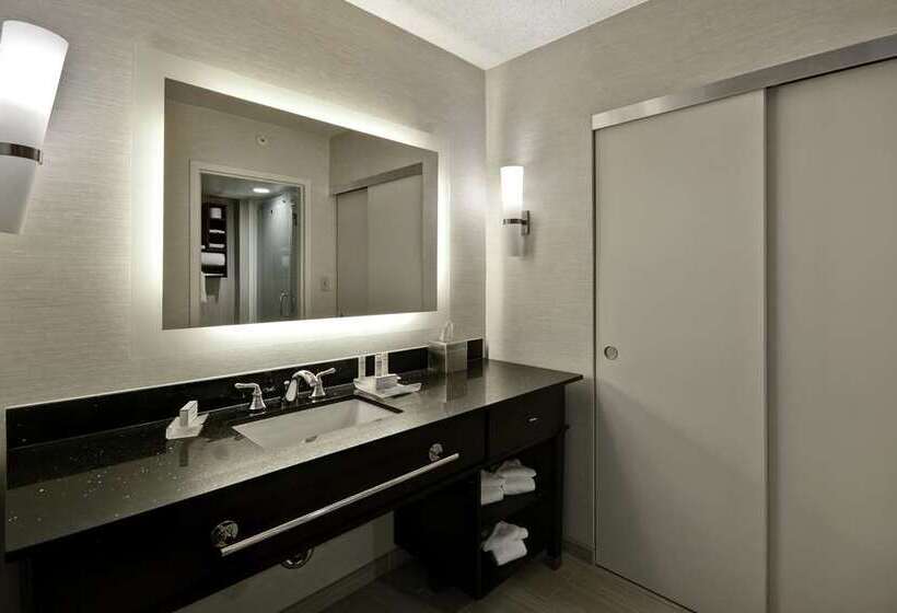 سوئیت با تخت بزرگ, Embassy Suites By Hilton Los Angeles Downey