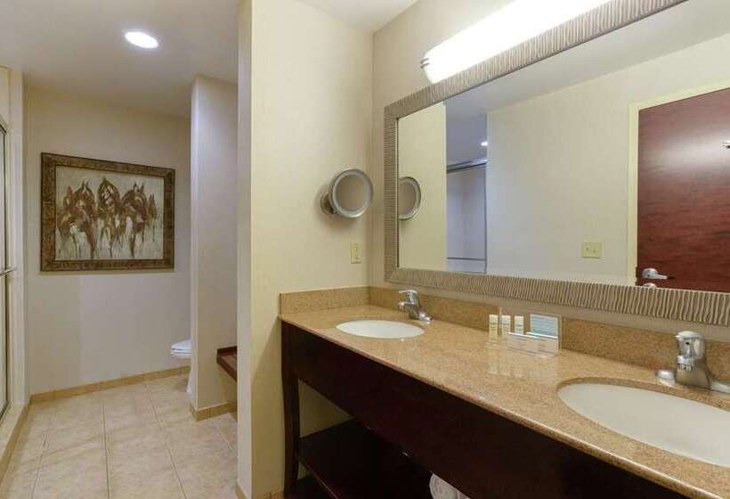 سوییت, Embassy Suites By Hilton Milpitas Silicon Valley