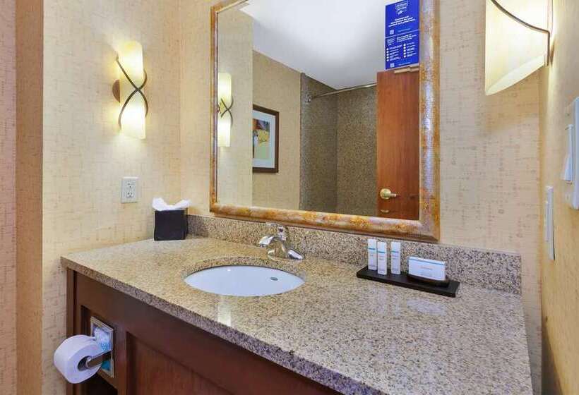 اتاق استاندارد با تخت بزرگ, Embassy Suites By Hilton Napa Valley