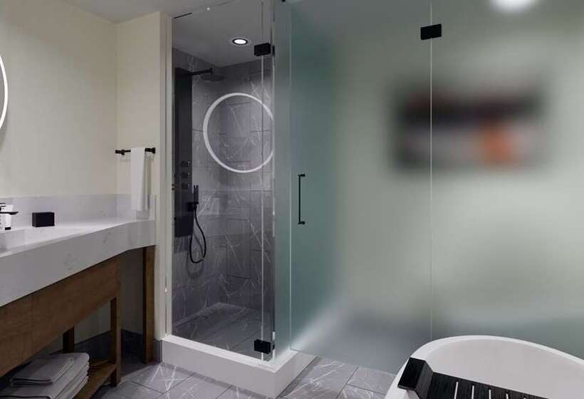 اتاق اجرایی با تخت بزرگ, Embassy Suites By Hilton Napa Valley