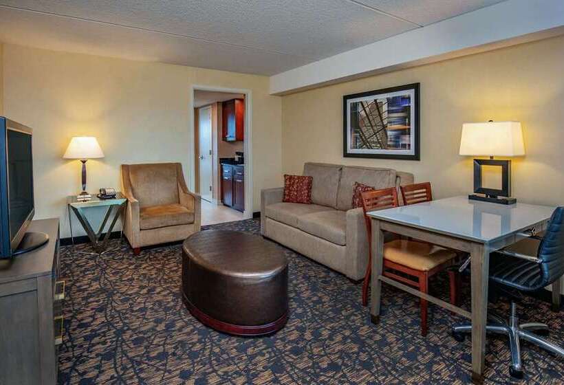 سوییت, Embassy Suites By Hilton San Antonio Airport