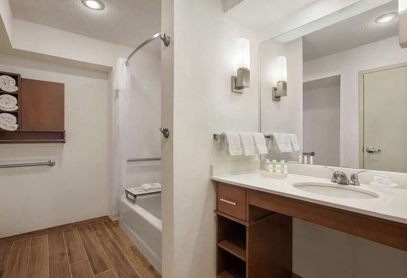 اتاق استاندارد, Embassy Suites By Hilton San Antonio Airport