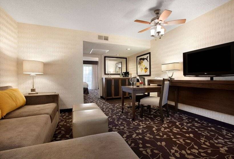 سوئیت با تخت بزرگ, Embassy Suites By Hilton Napa Valley