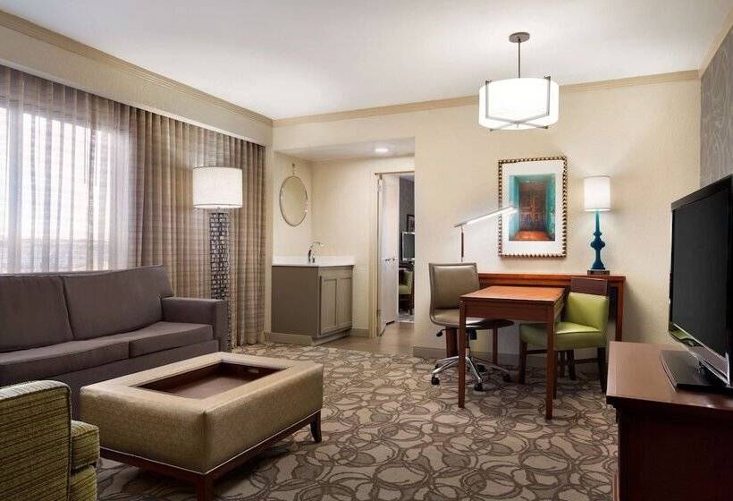 سوئیت 2 خوابه, Embassy Suites By Hilton San Antonio Airport