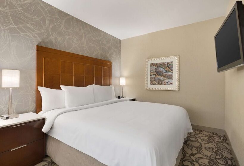 سوئیت 2 خوابه, Embassy Suites By Hilton San Antonio Airport