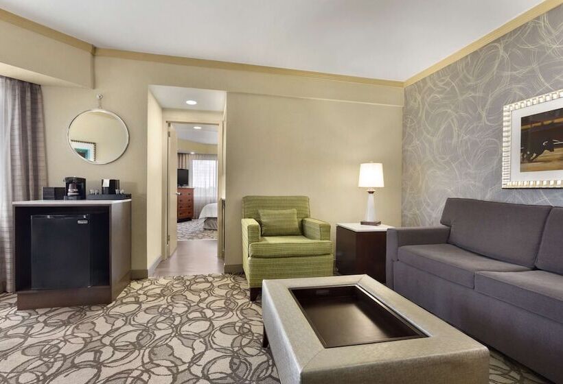 سوئیت 2 خوابه, Embassy Suites By Hilton San Antonio Airport