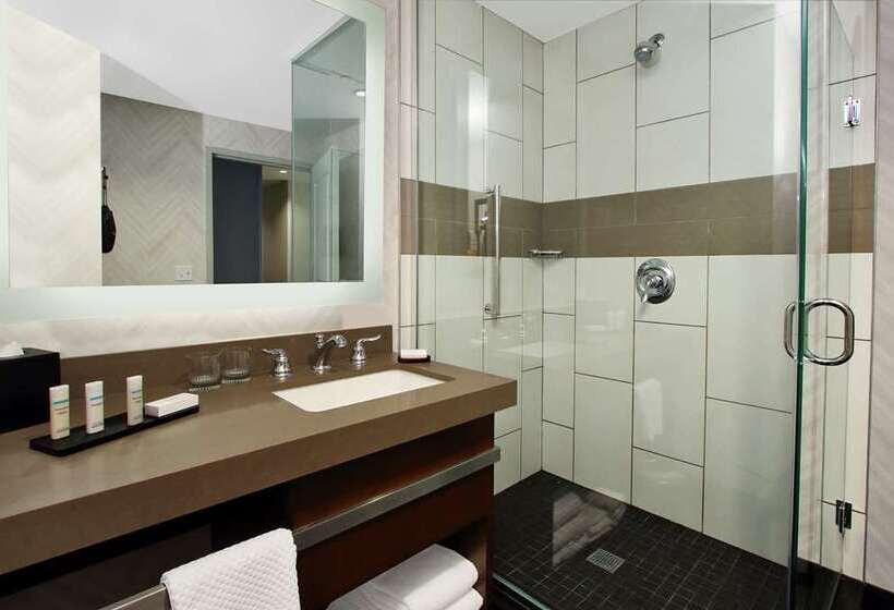 اتاق استاندارد با تخت بزرگ, Embassy Suites San Francisco Airport   South San Francisco