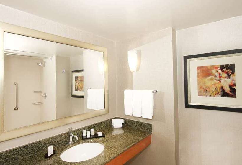 اتاق استاندارد با تخت بزرگ, Embassy Suites San Francisco Airport   South San Francisco