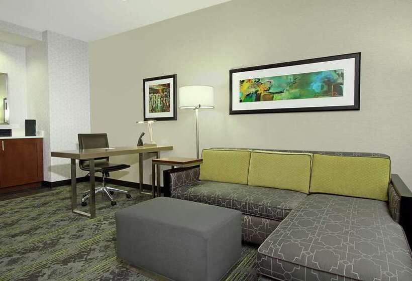 اتاق استاندارد با تخت بزرگ, Embassy Suites San Francisco Airport   South San Francisco