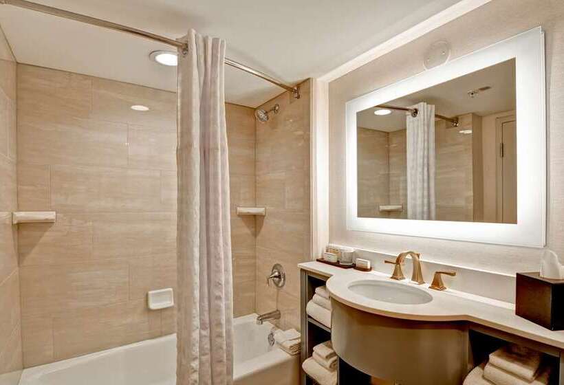 اتاق استاندارد با تخت بزرگ, Embassy Suites San Francisco Airport   South San Francisco