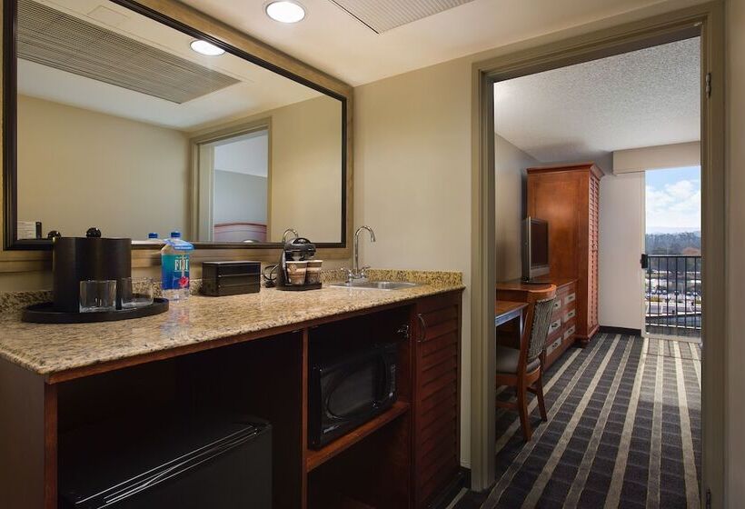 اتاق استاندارد با 2 تخت دوبل, Embassy Suites San Francisco Airport Waterfront