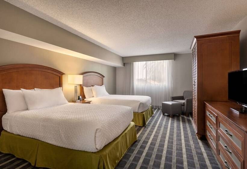 سوییت, Embassy Suites By Hilton San Francisco Airport Waterfront