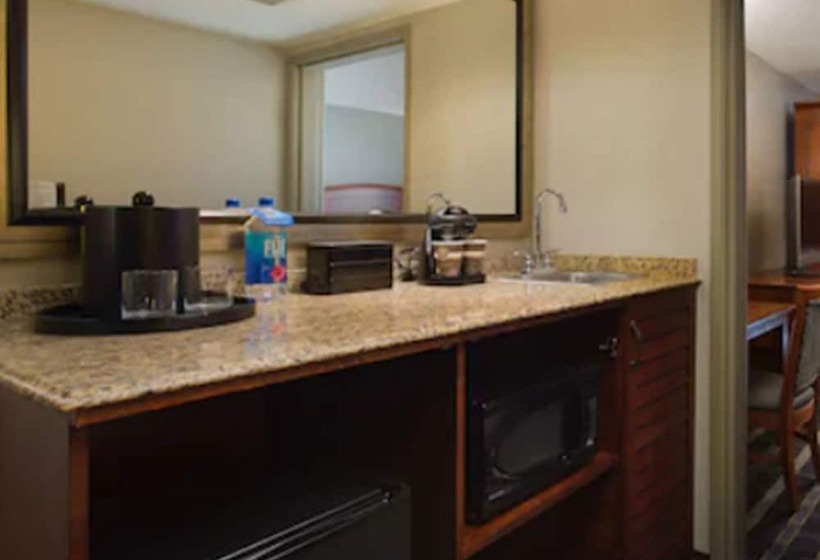اتاق استاندارد با 2 تخت دوبل, Embassy Suites By Hilton San Francisco Airport Waterfront