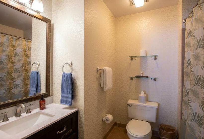 اتاق استاندارد با تخت بزرگ, Foley House Inn