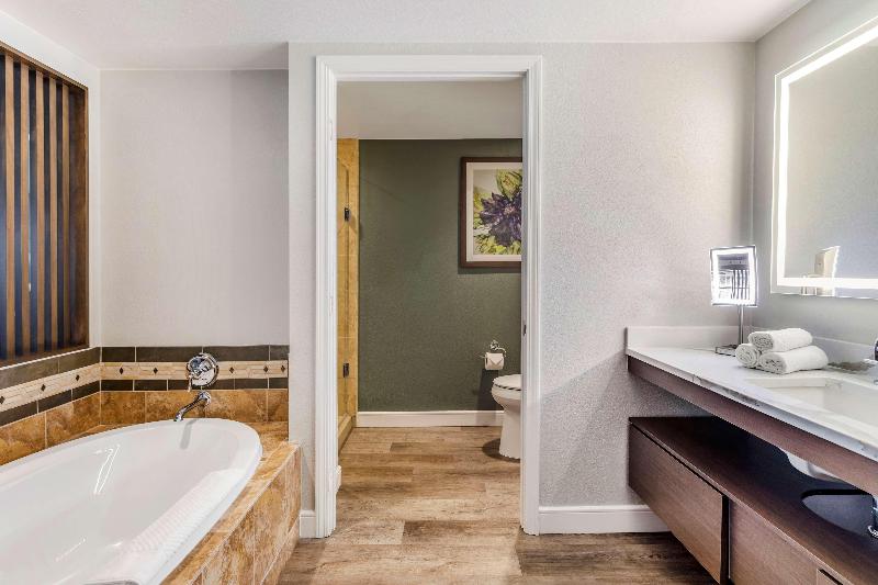 استودیو استاندارد با تخت کینگ, Hilton Grand Vacations Club Flamingo Las Vegas