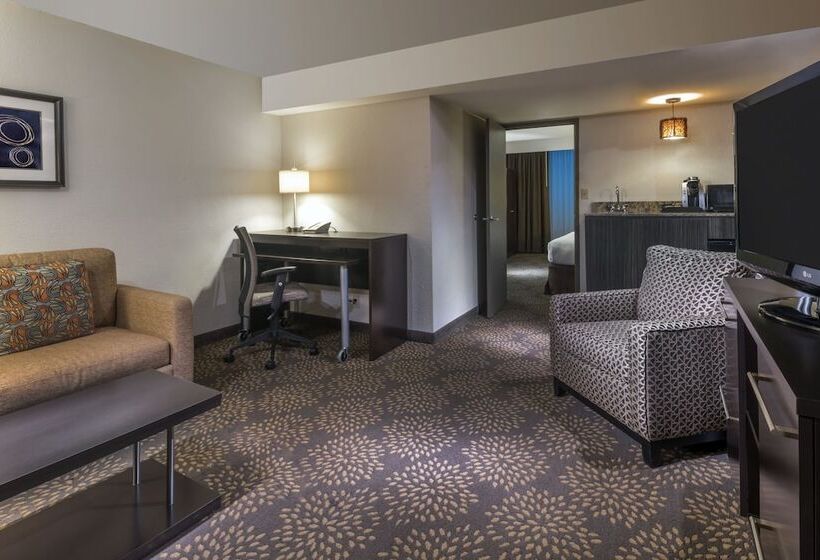 سوییت, Holiday Inn And Suites Phoenix Airport North, An Ihg