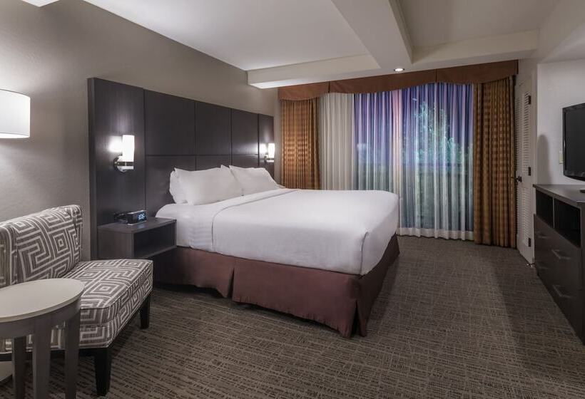 سوئیت با تخت بزرگ, Holiday Inn And Suites Phoenix Airport North, An Ihg