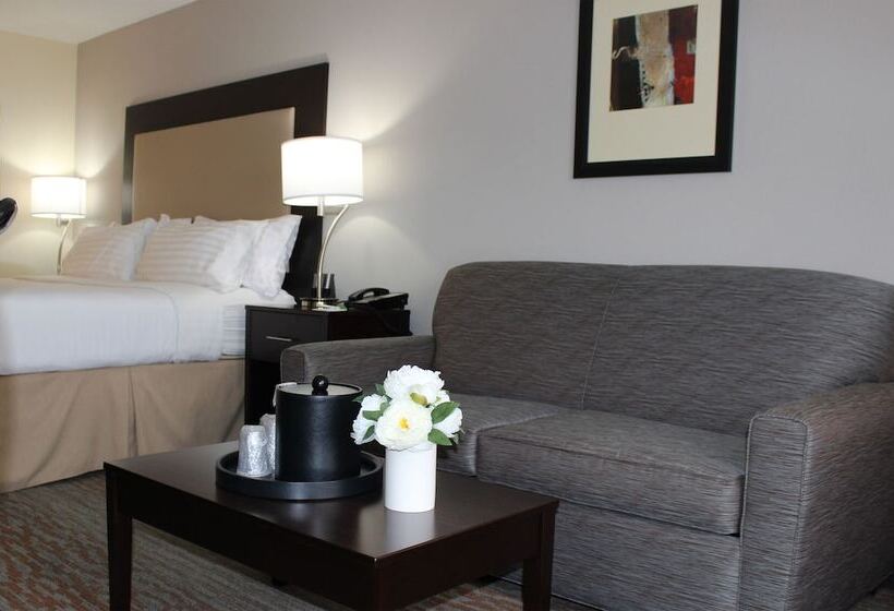 اتاق استاندارد با تخت دوبل, Holiday Inn  Atlantanorthlake