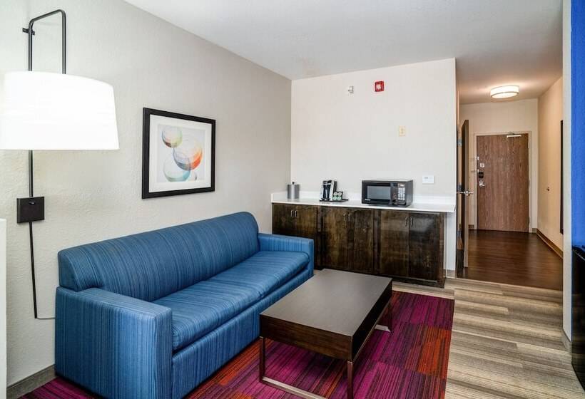 سوییت, Holiday Inn Express Hotel Winona North, An Ihg