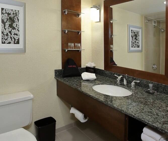 اتاق استاندارد با 2 تخت دوبل, Marriott El Paso