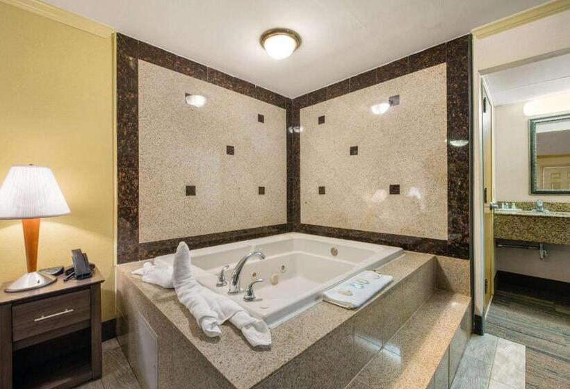اتاق لوکس, Hibiscus Inn & Suites