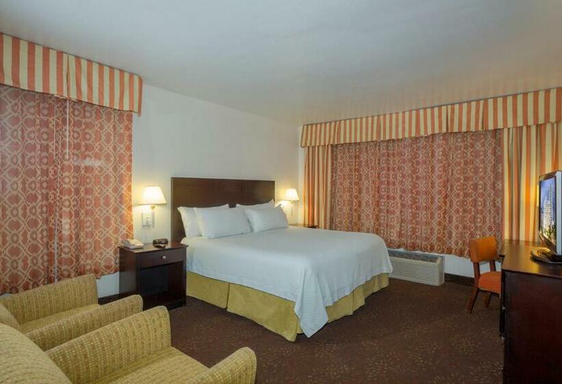 اتاق استاندارد با تخت بزرگ, Lexington By Hotel Rl Miami Beach