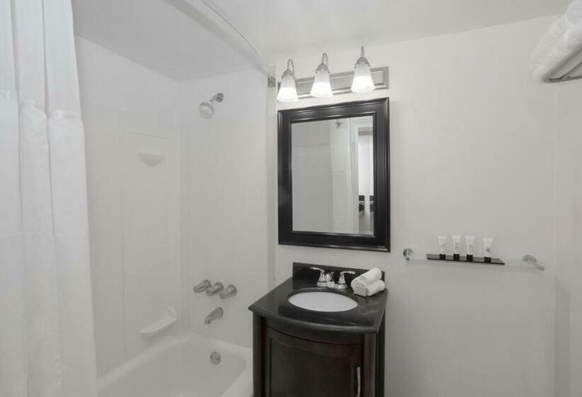 اتاق استاندارد با 2 تخت دوبل, Lexington By Hotel Rl Miami Beach