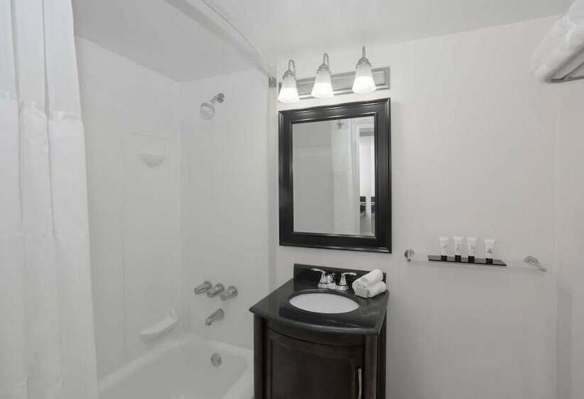 اتاق استاندارد با 2 تخت دوبل, Lexington By Hotel Rl Miami Beach