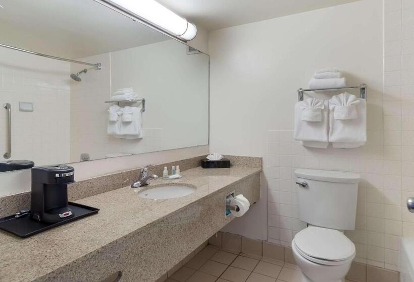اتاق استاندارد با تخت بزرگ برای معلولان, Clarion Hotel Concord Walnut Creek