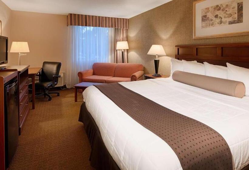 اتاق استاندارد با تخت بزرگ, Baymont Inn & Suites