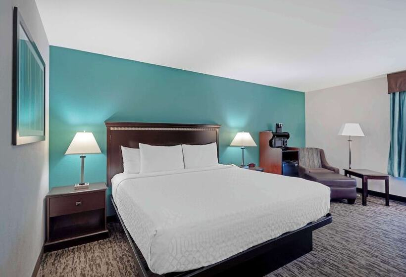 غرفة قياسية سرير مزدوج لذوى الإحتياجات الخاصة, Best Western Plus Chicagoland  Countryside