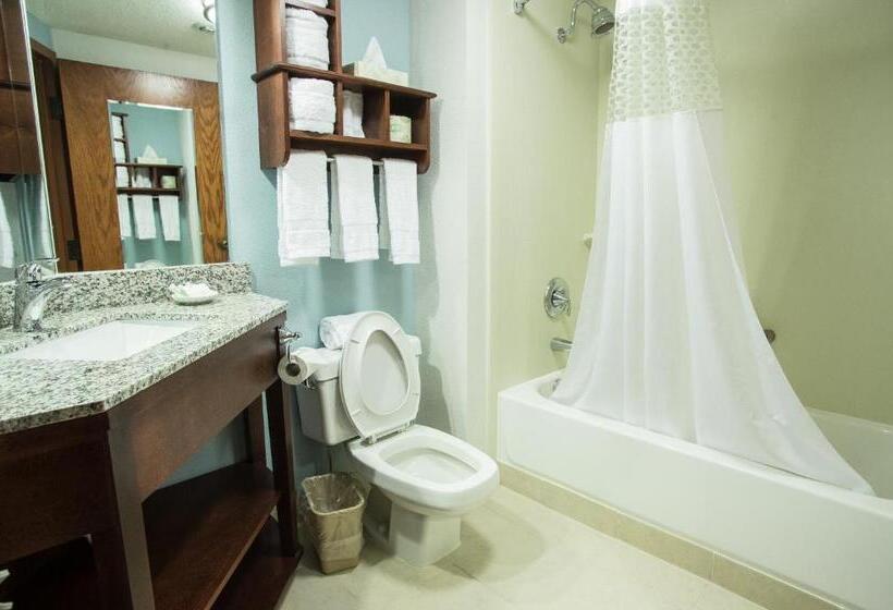 اتاق لوکس با تخت بزرگ, The Hotel At Dayton South