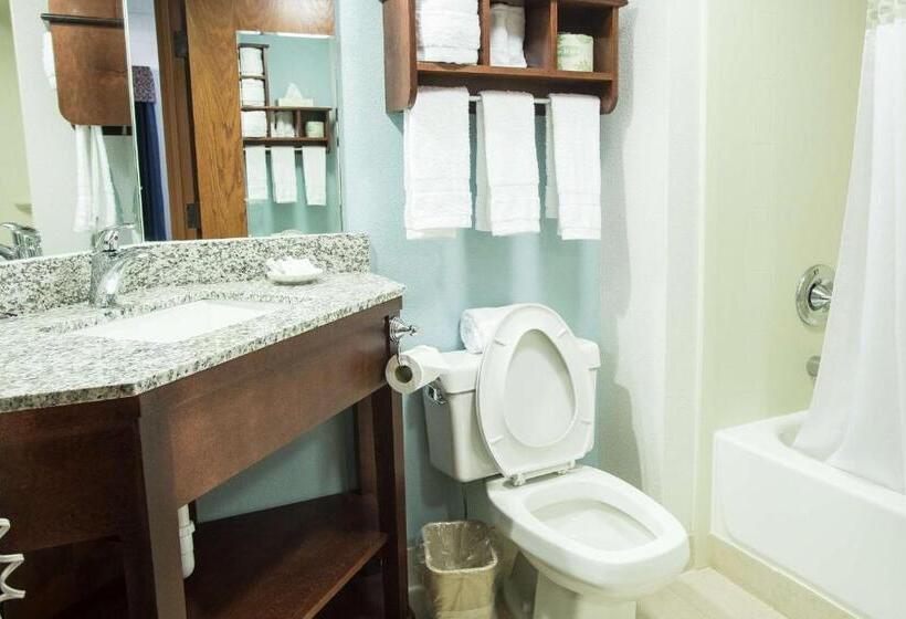اتاق استاندارد برای معلولان, The Hotel At Dayton South