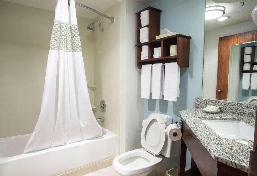 اتاق لوکس با تخت بزرگ, The Hotel At Dayton South