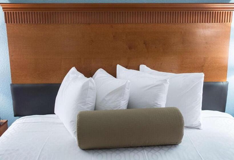 اتاق لوکس با تخت بزرگ, The Hotel At Dayton South