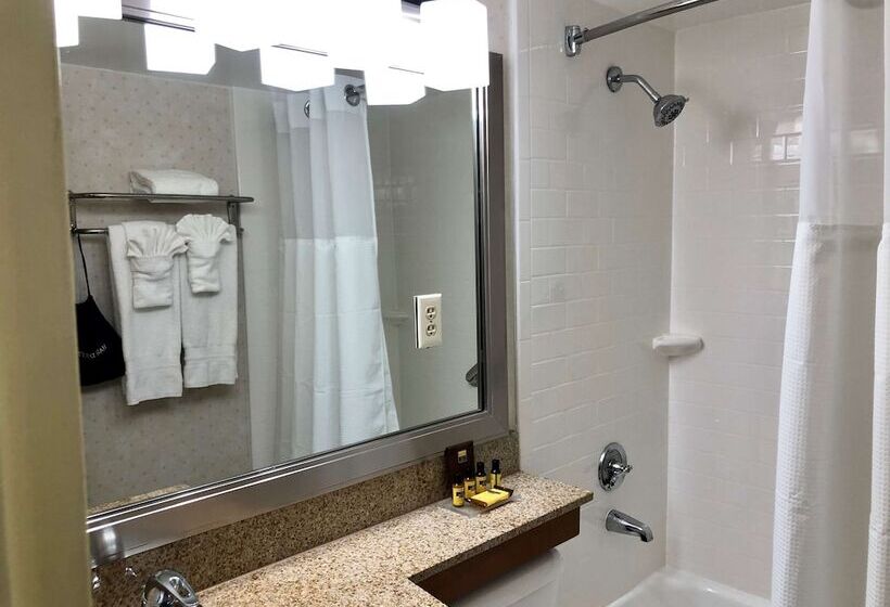 اتاق استاندارد با 2 تخت دوبل, Best Western Plus Grosvenor Airport