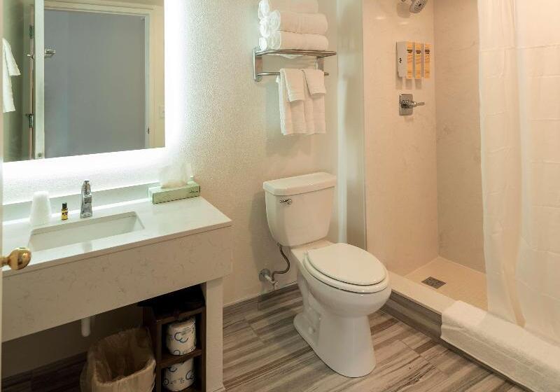 اتاق استاندارد, Best Western Plus Wausau Tower Inn