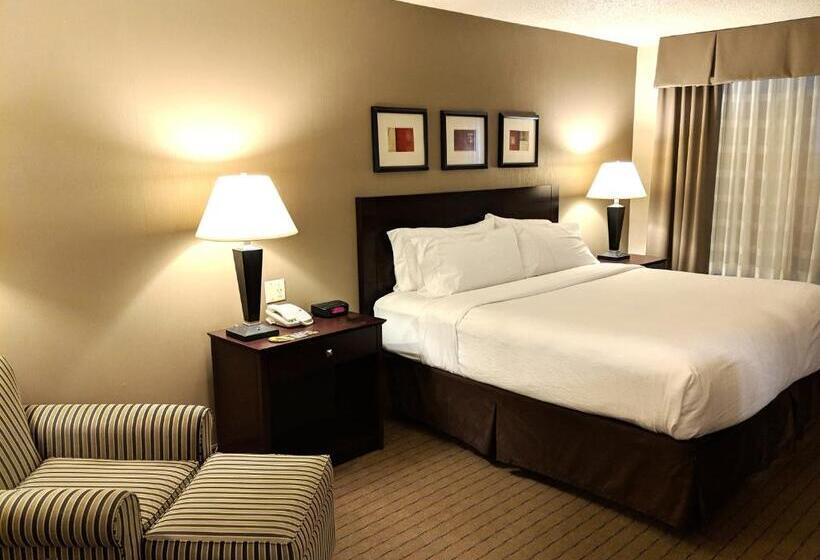 اتاق استاندارد با تخت بزرگ برای معلولان, Clarion Inn Elmira Horseheads