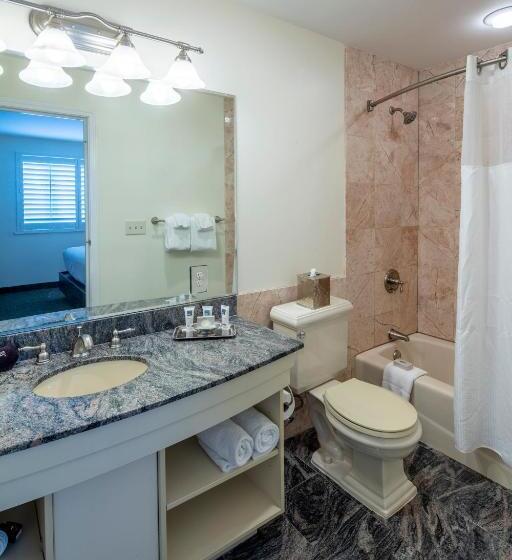 سوئیت با تخت بزرگ, Collegian Hotel & Suites, Trademark Collection By Wyndham
