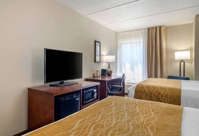 اتاق استاندارد با 2 تخت دوبل, Comfort Inn Atlanta International Airport