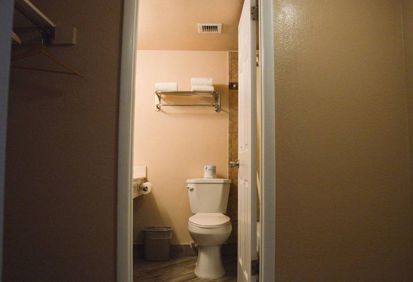 سوییت با چشم‌انداز دریا, Daytona Beach Hawaiian Inn