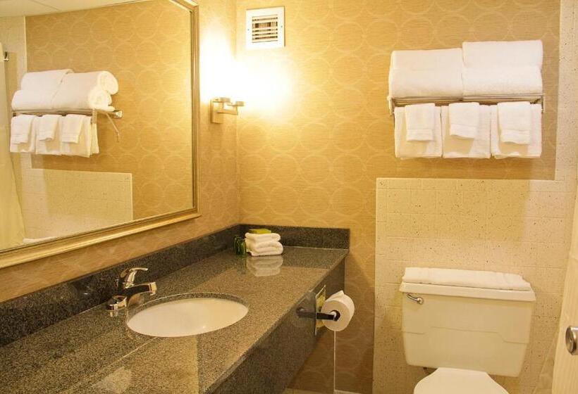 اتاق کلاس بیزنس, Decatur Conference Center And