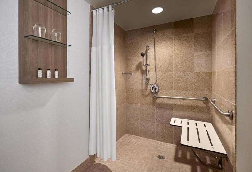 اتاق استاندارد با تخت بزرگ, Delta Hotels By Marriott Chesapeake Norfolk