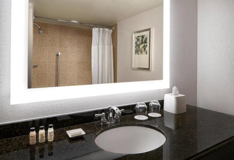 اتاق استاندارد با 2 تخت دوبل, Delta Hotels By Marriott Chesapeake Norfolk