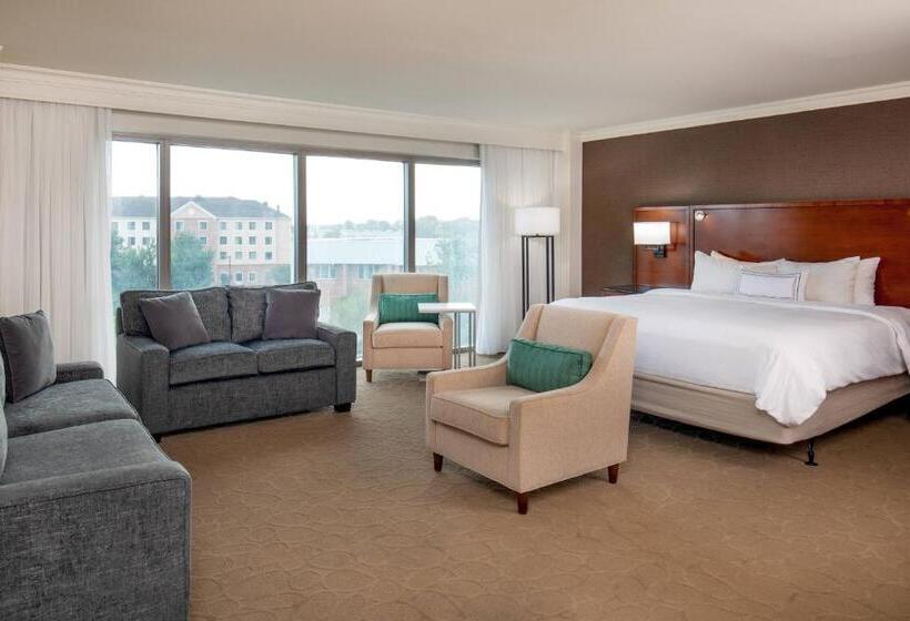 استودیو استاندارد با تخت کینگ, Delta Hotels By Marriott Chesapeake Norfolk
