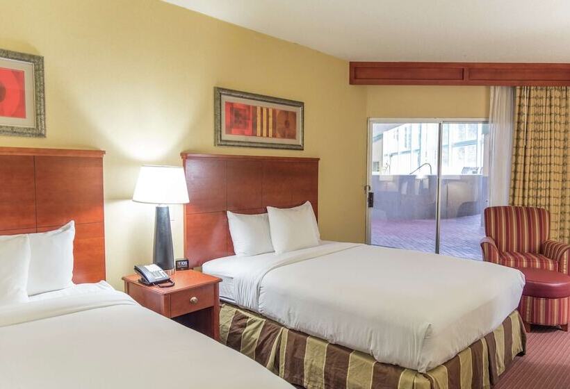 اتاق استاندارد با تخت دو نفره بزرگ, Doubletree By Hilton Holland