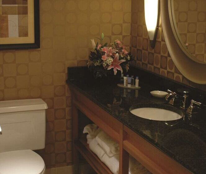 اتاق استاندارد با تخت دوبل, Wyndham Columbus